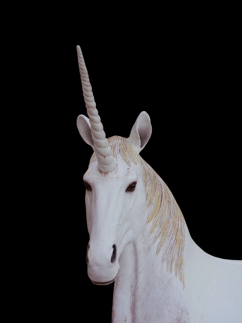 Unicorn Horn Watering Can